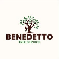 Benedetto Tree Service logo featuring a stylized tree with brown trunk and green foliage